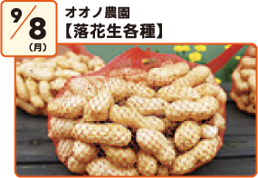 実演試食会
